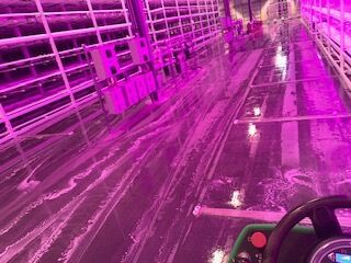 Commercial Floor Cleaning in Columbus, IN (2)