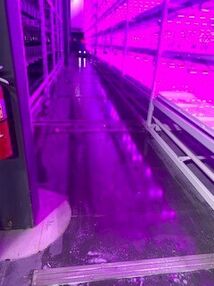Commercial Floor Cleaning in Columbus, IN (1)